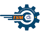 TSM-TOOL Pro 1 Year